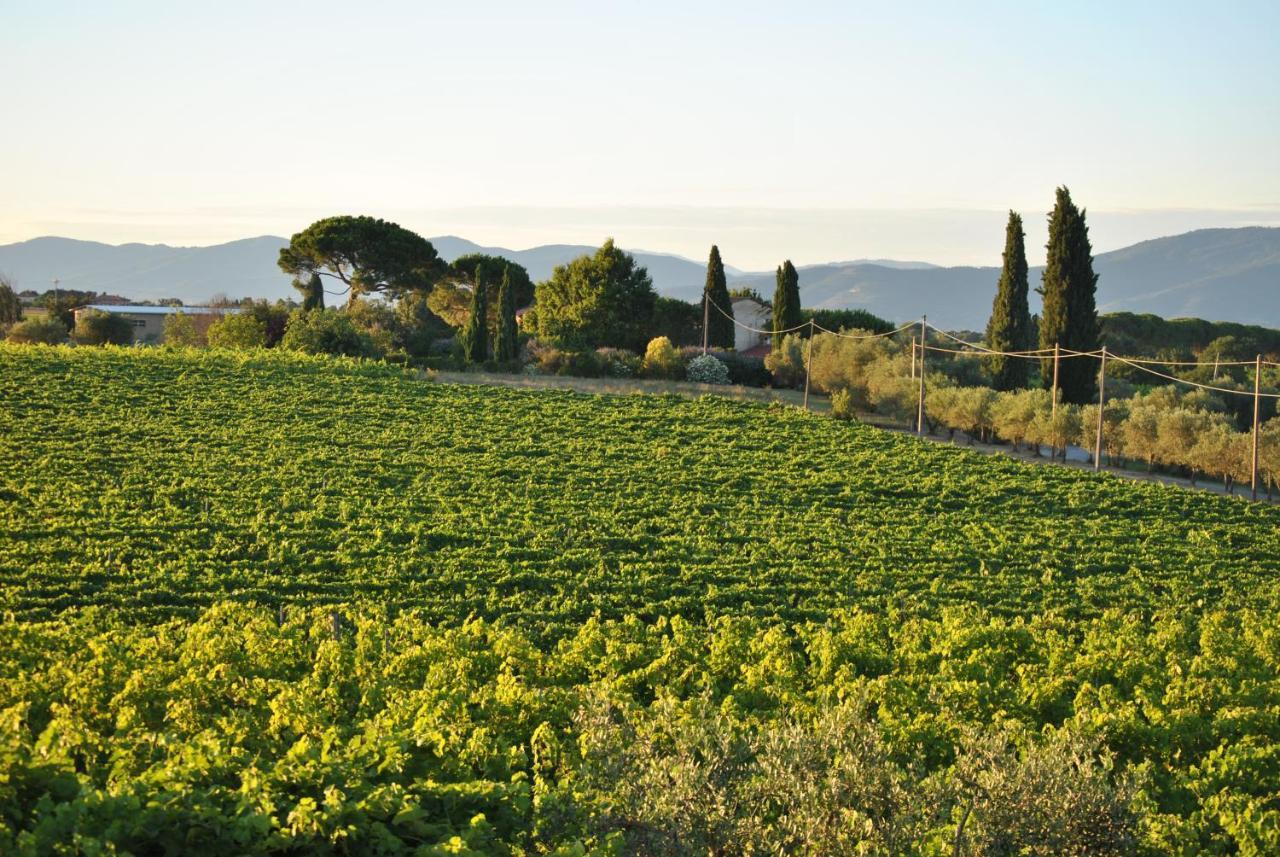 Villa La Valiana - Full Estate In Montepulciano - Heated Pool Valiano ภายนอก รูปภาพ